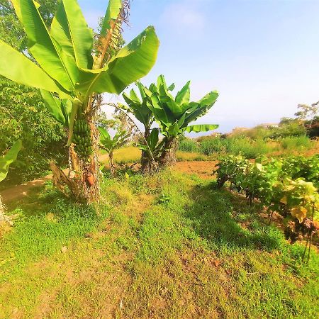 Casa Eco Rural rodeada de naturaleza y vistas,WIFI La Orotava Exterior foto